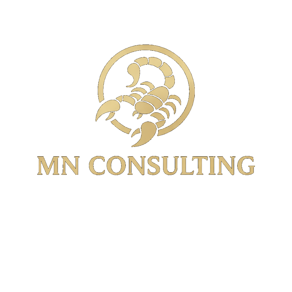 MN Consulting Logo